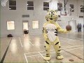 Mascot madness