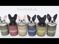 TrueStyleLab. Vo,2