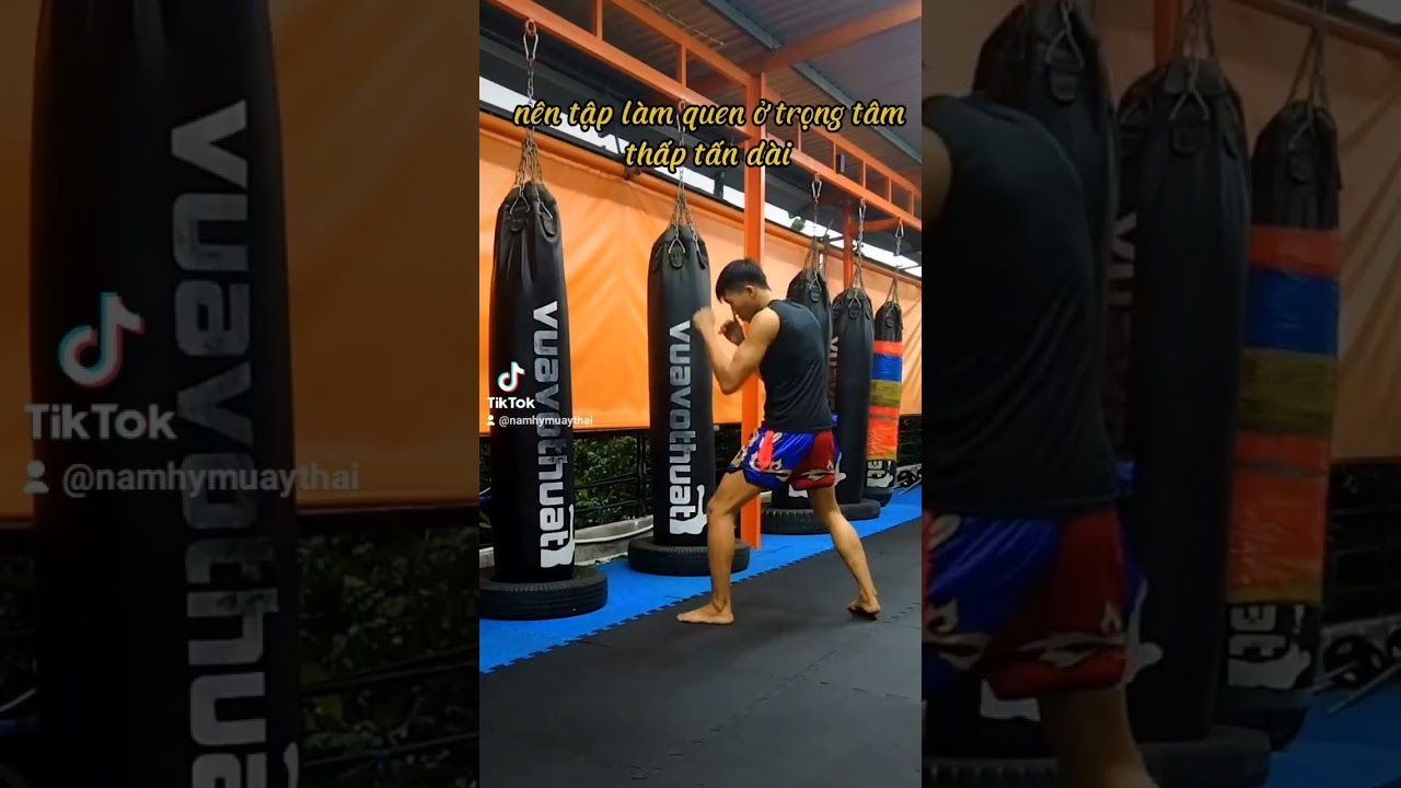 muay thái tại nhà - youtube