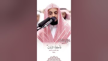 "وَجَاءُوا أَبَاهُمْ عِشَاءً يَبْكُونَ" تلاوة بديعة من سورة يوسف - الشيخ رعد الكردي (رمضان ١٤٤٤هـ)