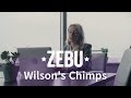 Zebu - Wilson's Chimps #ebook #trailer