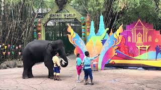 Funny water splash by Elephant || comedy show || Thailand || Bangkok || Safari world Show ||