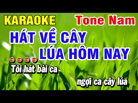 Karaoke Hát Về Cây Lúa Hôm Nay Nhạc Sống Tone Nam Em | Huỳnh Lê