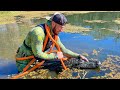 Removing 12ft Alligator From Backyard Pond!! (underwater capture) *extremely dangerous*