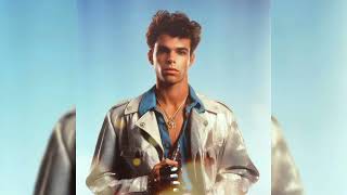 Finn Hines - Magical Spring (1986) (AI Disco Song)