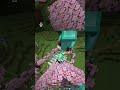 Thebaldthebird playing violin at Infumes and evbos wedding life steal season 7 #minecraft #lifesteal