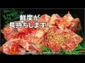 フレッシュマスターロール