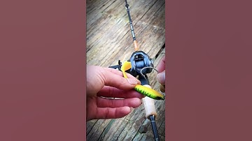 Cách móc mồi mềm câu lure #cauca #câucá #hanhfishing #câulure #lurre #caulure