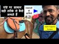 घोड़े का सामान कैसे लगायें  Horse Training On How To Tack Up Horse Accessories   Sarangkheda Mela