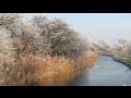 Ralph Vaughan Williams : In the Fen Country. Photographs.