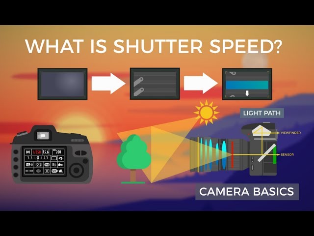 Camera Basics - Shutter Speed class=