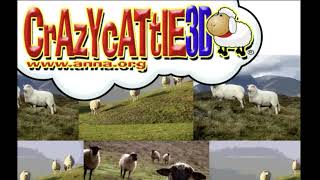 Crazy Cattle 3D OST - Settings Crazy Cattle 3d Ost Settings