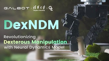 Spin, Turn, and Master: Unlocking In-Hand Dexterity with DexNDM
