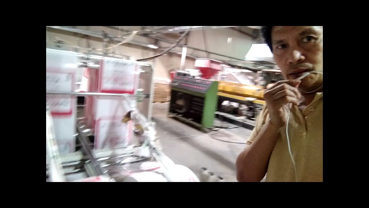 Hemingstone  Flexo Printing Machine