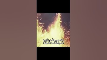 #قرآن #قران #قران_كريم #قران_كريم_بصوت_جميل_جدا #quran #تلاوات #تلاوة #تلاوة_خاشعة
