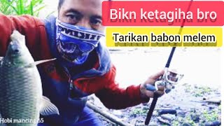 🔴Strike babon melem || nilem babon fish