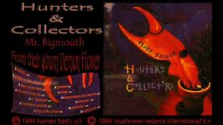 Watch Hunters  Collectors Mr Bigmouth video