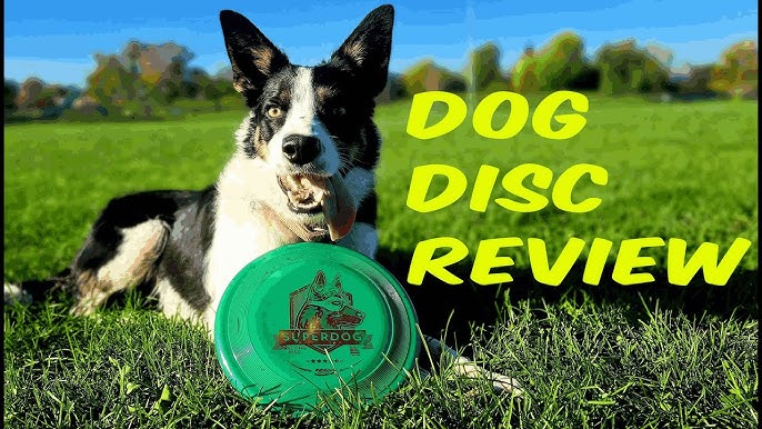 KONG Extreme Flyer - Durable Rubber Dog Toy - Soft Dog Frisbee & Flying  Disc for Fetch & Retrieve - Frisbee for Hyper Pets & Dogs - Black - Large  Dogs