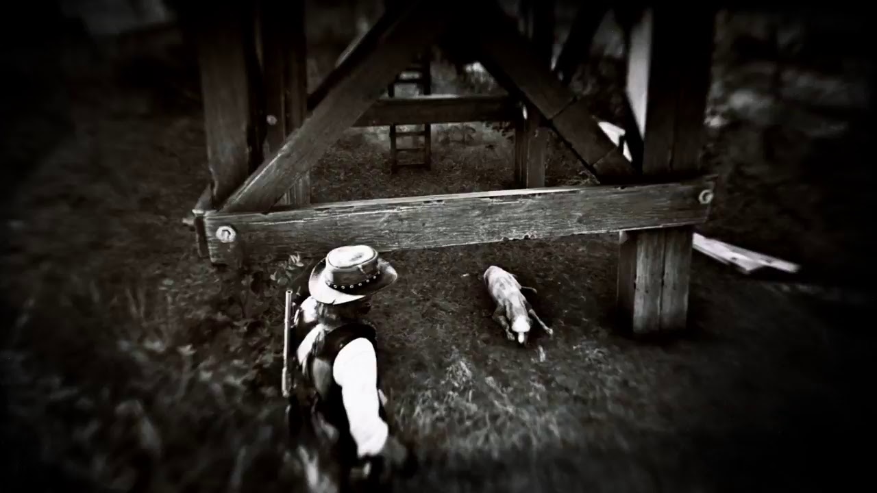 Red Dead Redemption 2 How to find yellow dog in Emerald Ranch for NPC