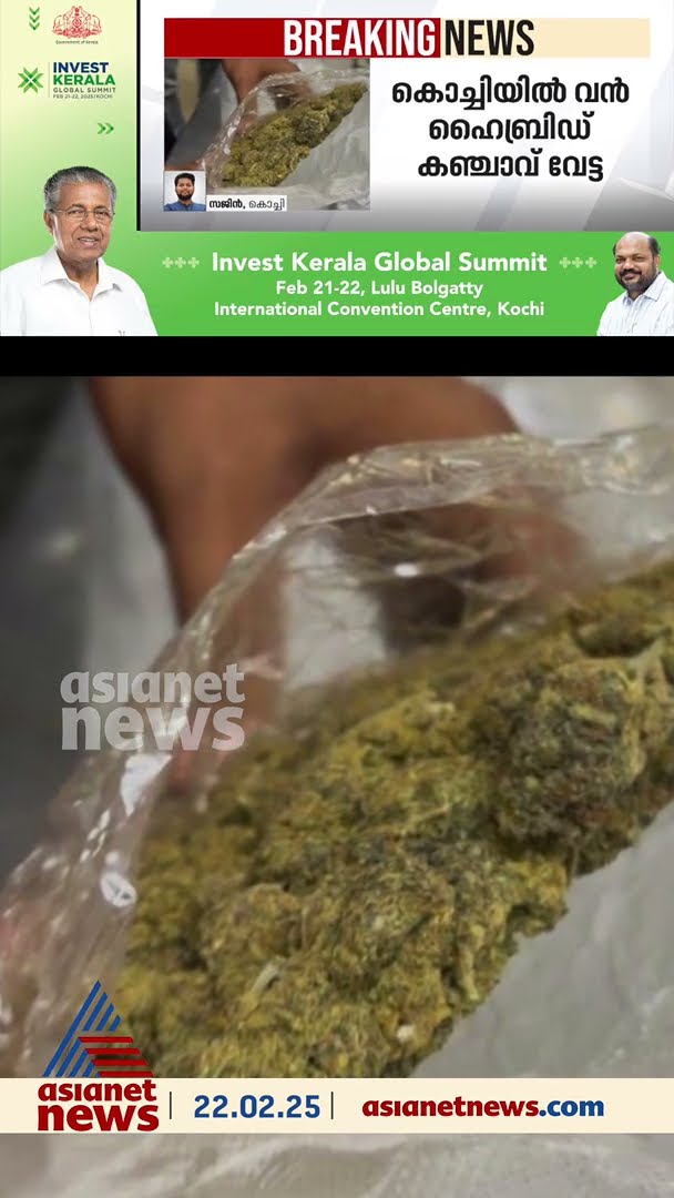 കൊച്ചിയില്‍ വമ്പന്‍ ഹൈബ്രിഡ് കഞ്ചാവ് വേട്ട