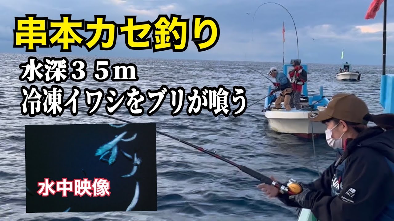 串本カセ釣り　水深35m冷凍イワシをブリが喰う