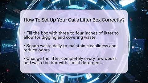 How To Set Up Your Cat