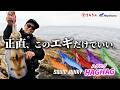 【まるきん×ハヤブサ】初めての沖磯エギング完全ガイド!メーカー直伝の春イカ攻略が凄すぎた…