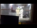 شيلة باللغة المهرية 2 