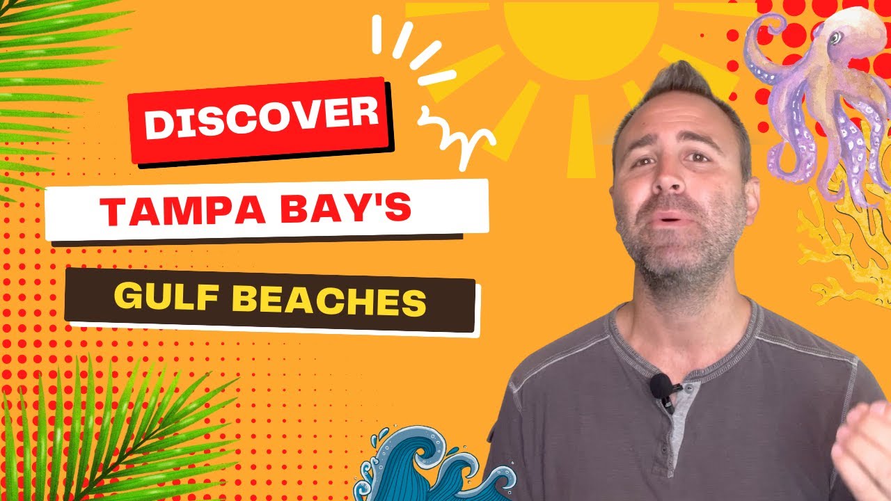 Discover the Best Beaches in Tampa for Your Next Vacation or Move