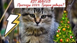 Кот Манул - Прогнозы 2024