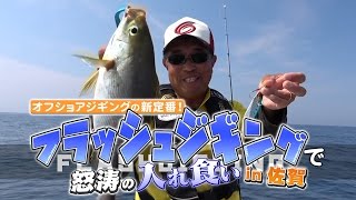 オフショアジギングの新定番！フラッシュジギングで怒涛の入れ食いin佐賀_クレイジーオーシャン