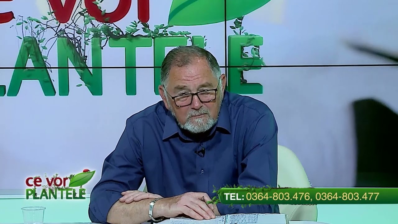 VIDEO Dr. Ing. Horia Ghibu - Tratament pentru răsadurile de legume 1 VIDEO Dr. Ing. Horia Ghibu - Tratament pentru răsadurile de legume YouTube player