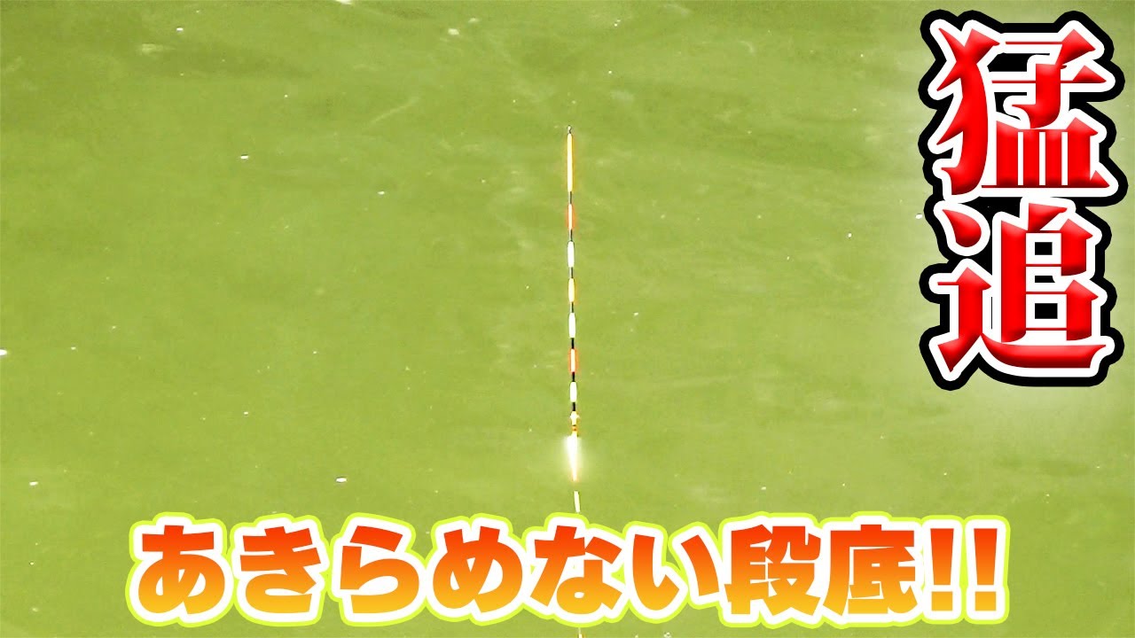 【大会】富里チャンピオンシップに挑戦‼まさかのスタート出遅れ...立て直しなるか？！
