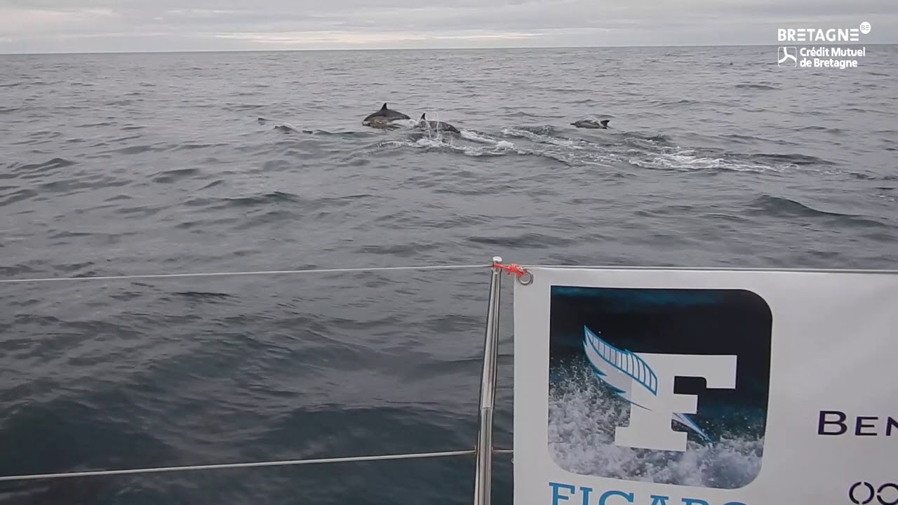 Loïs sur la 1ere étape de la Solitaire URGO Le Figaro