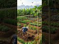 Beautiful Backyard Organic Farm 🌱 | Sustainable Gardening Inspiration #Shorts