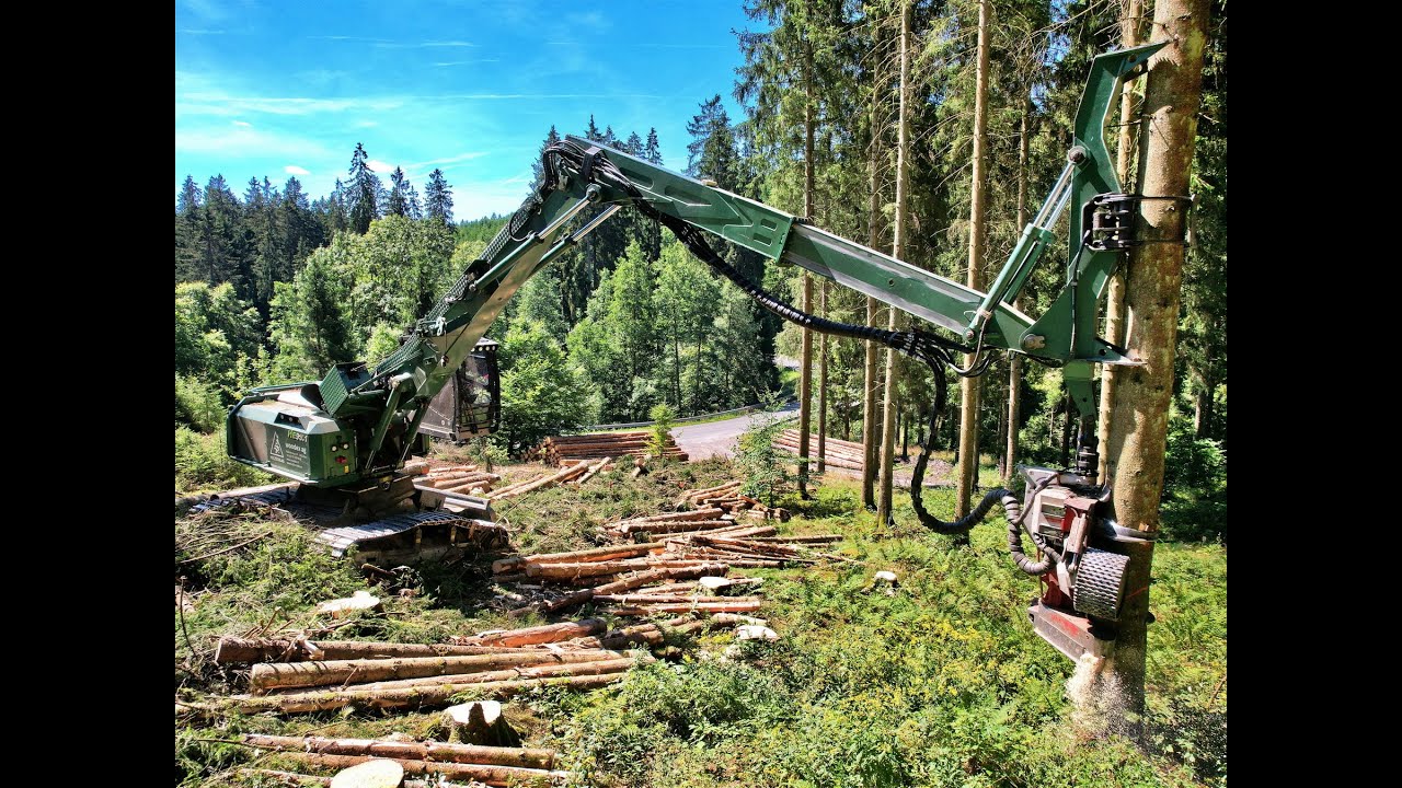 🌲4K|• Big Logging • Kern HE93.1 Königstiger • Woodex AG • biggest Harvester • Drone • big trees🌲
