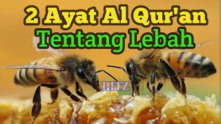 Murottal|2 Ayat Al Qur'an tentang lebah (Surat An Nahl 68-69)