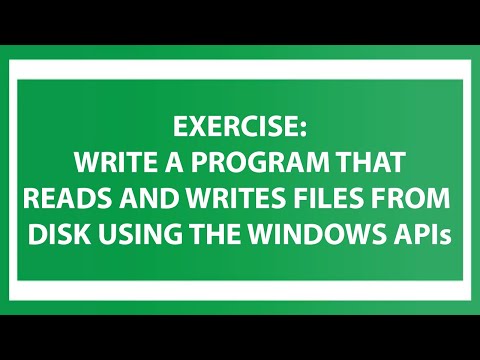 Windows Internals: Write a program that reads and writes files from disk using the Windows APIs