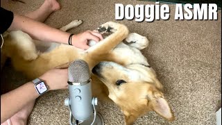 Asmr 10 Minutes Of Doggie Scratches, The Best Boy Asmrbyj