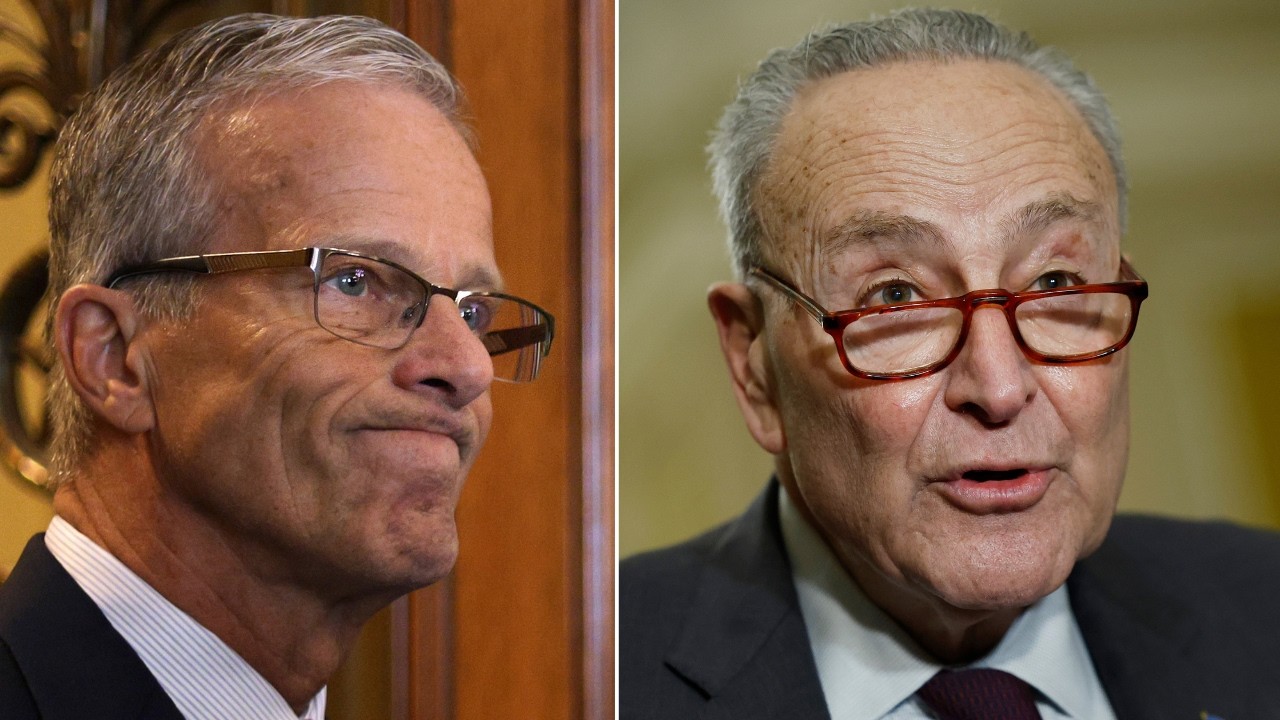 Trump Drops Jaw-Dropping Order — Schumer and Thune Can’t Believe It