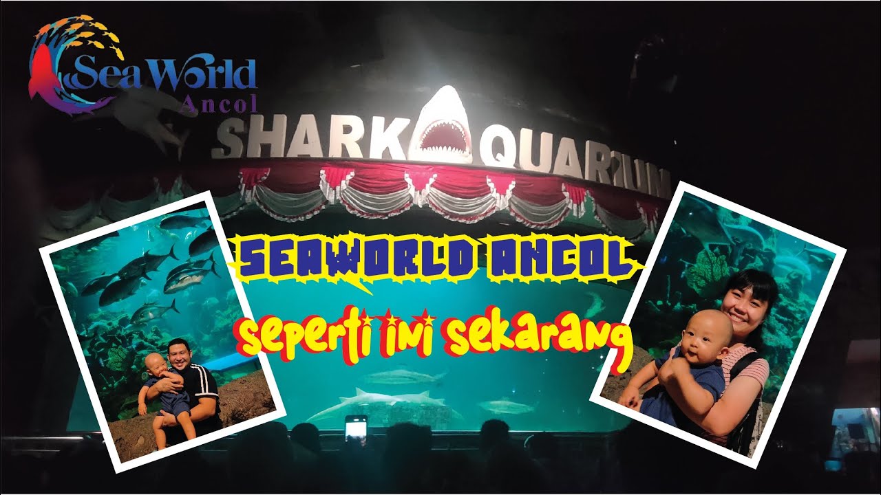 Jalan Jalan Ke SeaWorld Ancol Begini Kondisinya Sekarang