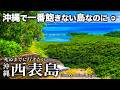 【西表島】沖縄で一番飽きない島なのに9割が素通り⋯泊まった人だけが見られる星空とジャングルが凄すぎた【【世界遺産・沖縄旅行・八重山諸島・離島・観光・秘境・シュノーケリング】