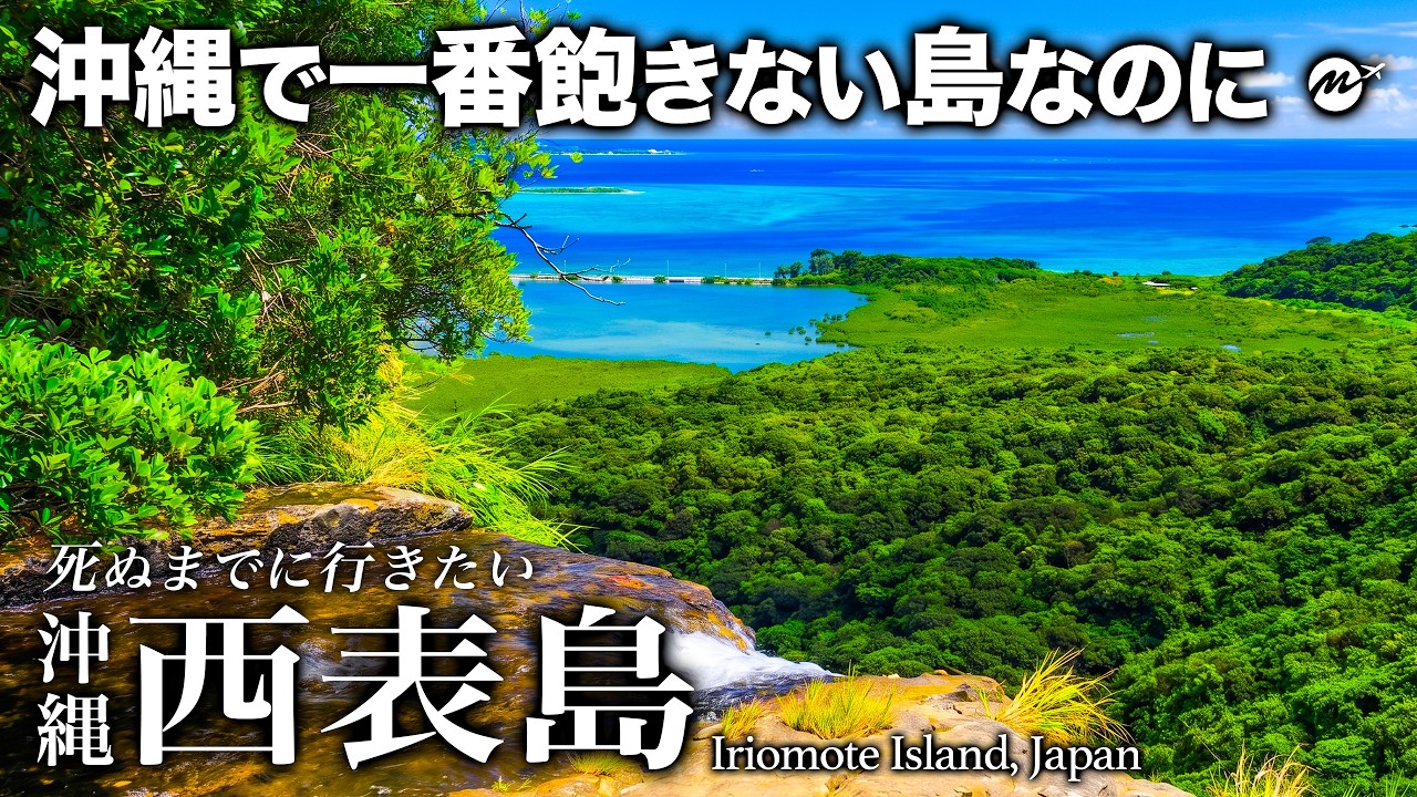 【西表島】沖縄で一番飽きない島なのに9割が素通り⋯泊まった人だけが見られる星空とジャングルが凄すぎた【【世界遺産・沖縄旅行・八重山諸島・離島・観光・秘境・シュノーケリング】