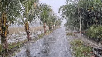 HEAVY RAIN FALLS ON THE BEAUTIFUL VILLAGE | WALK IN THE HEAVY RAIN