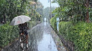 HEAVY RAIN FALLS ON THE BEAUTIFUL VILLAGE | WALK IN THE HEAVY RAIN