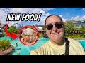 Incredible new food in disney springs walt disney world