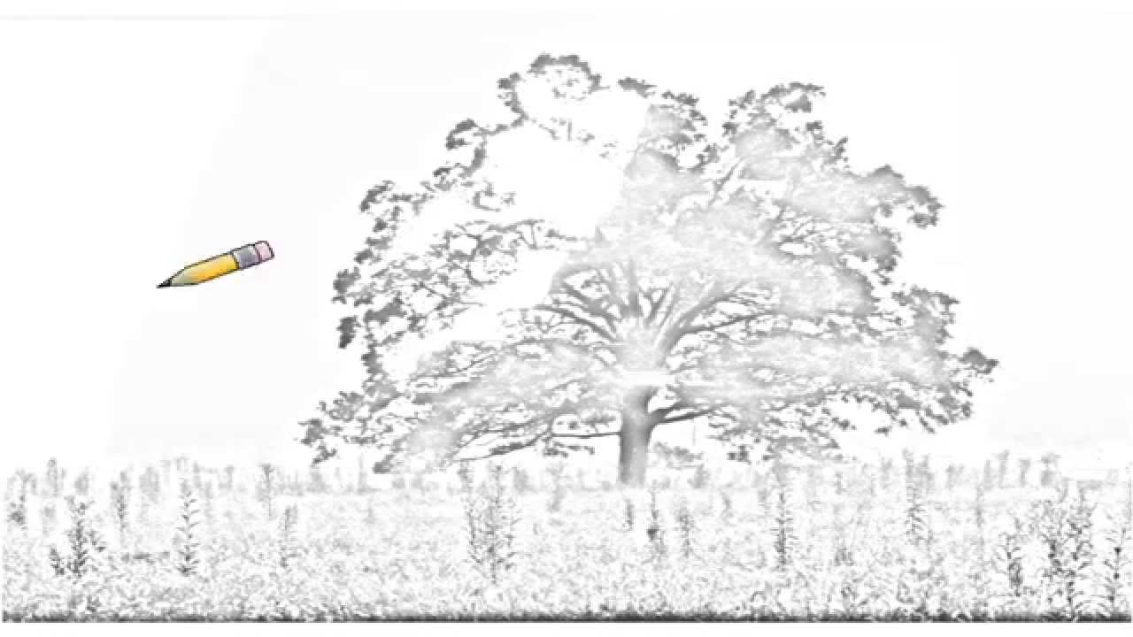 Auto Draw 2: Cades Cove Morning, Great Smoky Mountains National Park, Tennessee - YouTube