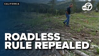 Trump administration to rescind 'Roadless Rule' on national forest lands