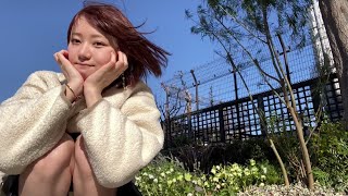 ビルの屋上庭園で強風。世界1平和な動画🕊