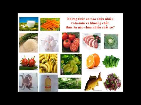 Khoa học Lớp 4 - Bài 5 + 6: Vai trò của chất đạm và chất béo. Vai trò của vitamin chất khoáng và chất xơ.